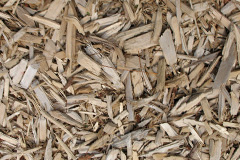 biomass boilers Lulham